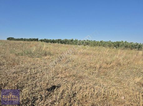 Nilüfer Çatalağıl Da Satılık Hobi Bahçesi