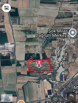 Milas Anka Emlak'dan Savran Mah 131 Dönüm Depo Yapımına Uygundur