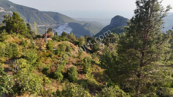 Bademağacı'nda Köy Yerleşim Alanında 4 Dönüm Arsa