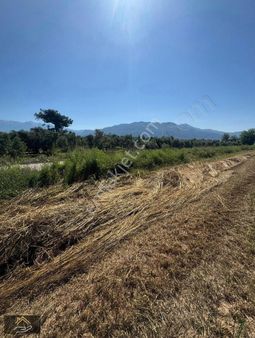 Karlık Gayrimenkulden Eşen De Satılık Yatırımlık Tarla