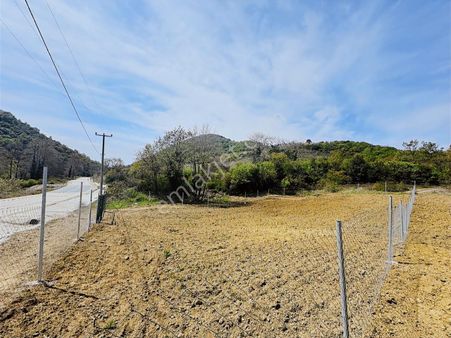 Tırpan Gayrimenkul'den Kaymakoba'da Asfalta Cephe Satılık Parsel