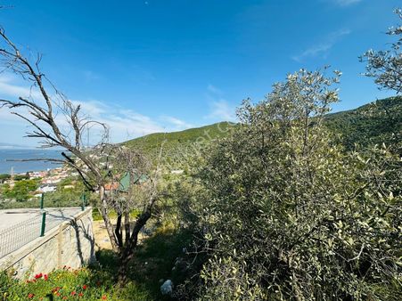 Tırpan Gayrimenkul'den Çift Yola Cephe Deniz Manzaralı Fırsat