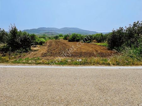 Tırpan Gayrimenkul'den Ana Asfalta Cephe Trilye'de 3000m2 Fırsat