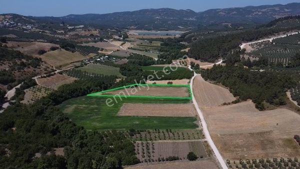 Tırpan Gayrimenkul'den 8,600m2 Yola Cephe Yatırımlık Tarla