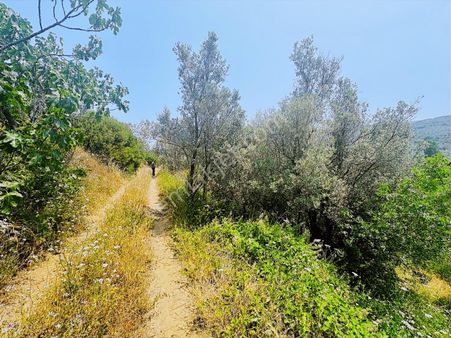 Tırpan Gayrimenkul'den 1.100m2 Talatbey'de Yatırımlık Arazi