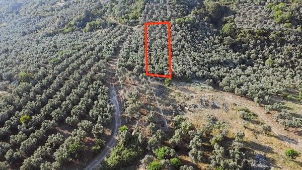 Tırpan Gayrimenkul'den Kaymakoba'da 1.100m2 Fırsat Arazi