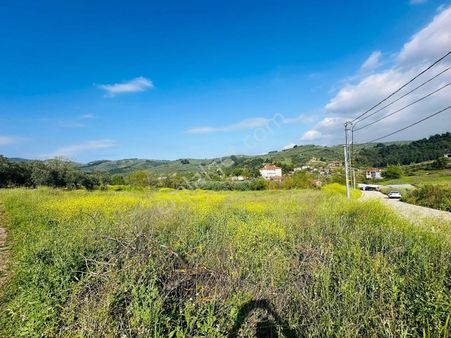 Tırpan Gayrimenkul'den Asfalta Cephe Yatırımlık Fırsat Tarla