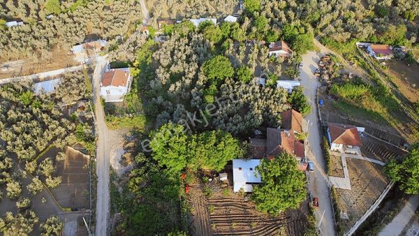 Tırpan Gayrimenkulden Trilye De Köy İçi Yatırımlık Arazi!!!