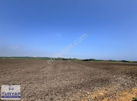 Çatalca Muratbey Gümrük Yanında Kupon Arsa