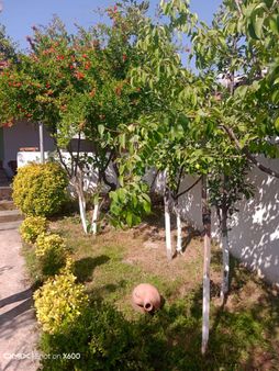 Karabiga Yalı Mahallesi’nde Doğa İle İç İçe, Müstakil Bahçeli Evimiz Satılıktır.!