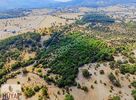Çanakkale Ayvacık Hüseyinfakı Satılık Tarla