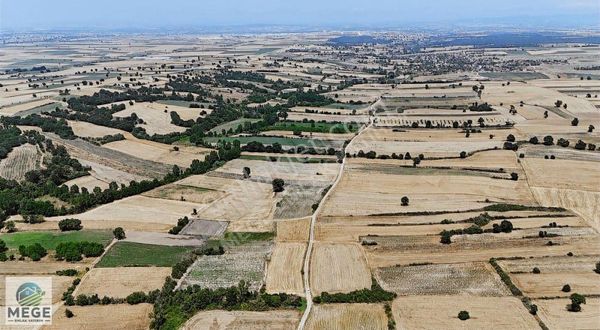 Megeden Kırklareli Bayramdere Satılık Meyve Bahçeleri Tek Tapu