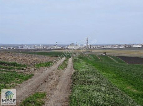 Mege'den Ergenede Sanayiye Yakın Satılık Tarla Çapı Mevcut
