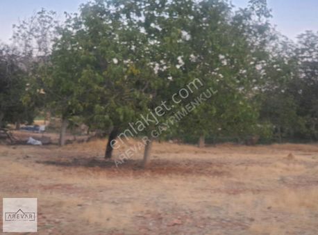 Coşkun İbili'den Asfalt Üstü İmara 100m Mesafede Arazi