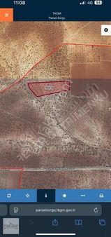 Arevar Dan Nizip Dutlu Köyünde Satılık Fıstıklık