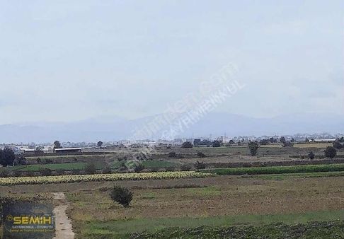Semih'den Ebeköyde 2100 M² Yola Cephe Çok Hesaplı Kelepir Tarla