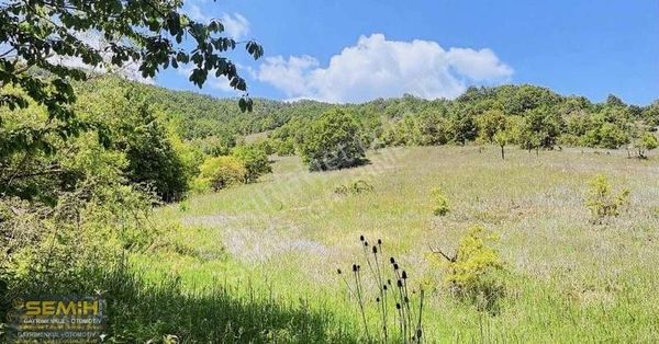 Semih'den Paşayaylada Köye 500 Metre Çok Çok Uygun Yatırımlık