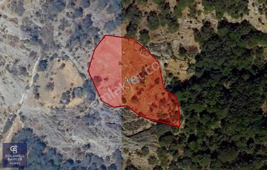 Çanakkale Ayvacıkta Yatırım Fırsatı Köy İmarına Yakın Arsa