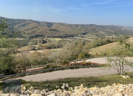 Kandıra Ağaçağıl Köyünde Manzaralı Tarla