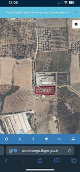 Kemalpaşa Bağyurdu 2.857 M2 Satılık Tek Tapulu Bağ