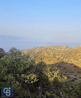 Marmaris Bozburunda Satılık 890 M2 Deniz Manzaralı Tarla