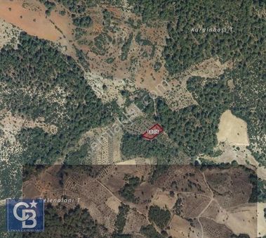 Meke Mahallesinde Zeytinlik Tarla