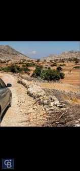 Taşlıca Mah Yol Cepheli Satılık Tarla