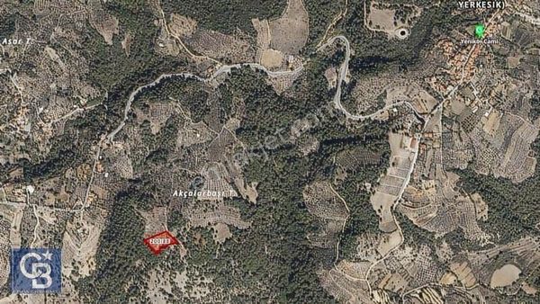 Yeniköy Mah. Lavanta Bahçesine Çok Yakın Konumda Kupon Tarla