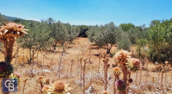 Akkaya Köyiçi İmarlı Satılık Parsel