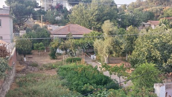 Aydın Koçarlı Bıyıklı Mahallesinde Satılık Müstakil Bina