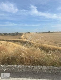 Ana Yola Yakın 5030 M2 Eşdeğer Tapu Kıbrıs Girne Taşkentte