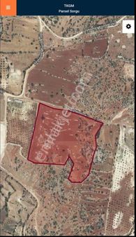 Kemal Emlak'tan Gülnar Şeyhömerde Köy Merkz. Yakın Denize 25 Km Satılık Tarla