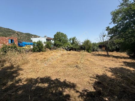 Pek Emlaktan Eğridere De Köyyanı Dere Kenarı İmarlı Bahçe