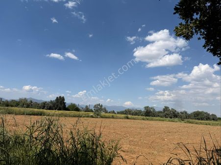 Pek Emlaktan Tire Peşrefli Asfalta 1 Parsel Tektapu 2170m2 Bahçe