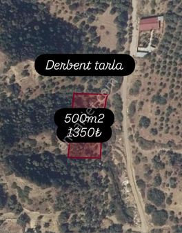 Yasaklar Group’tan Derbent Mahallesi Tarla