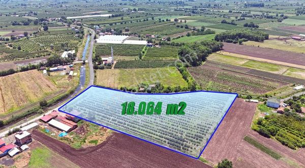 Öz-emmaxtan Ovacıkta Satılık 18.064 M2 Fındık Tarlası