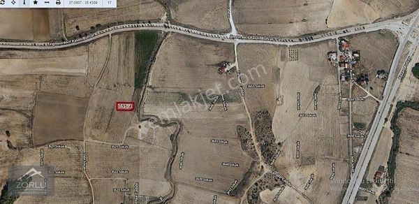 Zorlu'dan Satılık Hisseler Alıp Topla Düşük Bütçeli Yatırımcılar