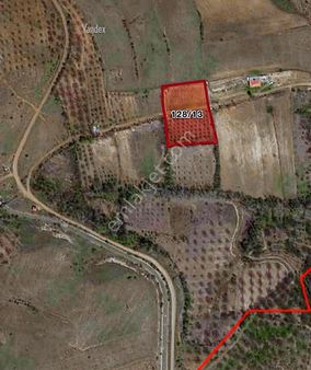 Burhan Kıran'dan Doğanşehir'de Satılık Bahçe