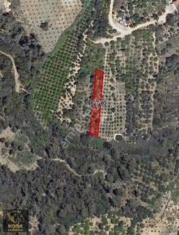 Nora'dan Ekime Ve Yatırıma Uygun Fırsat Arazi