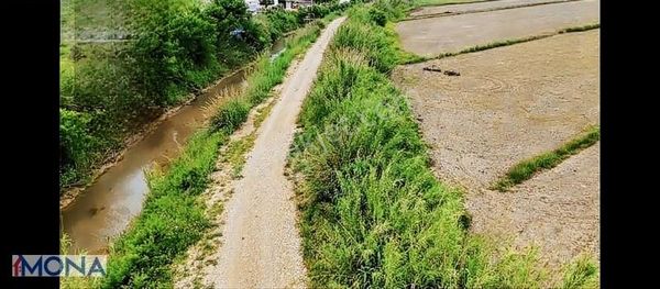 Serik/çandır'da 13.500 M2 Satılık Tarla