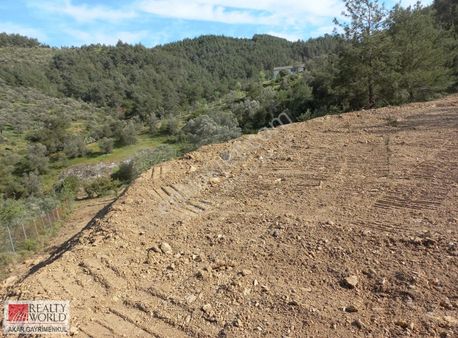 Rw Akar'dan Orhanlı Da Zeytin Ağaçlı Tarla Vasfında Arazi