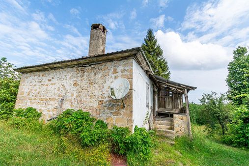 Ordu Altınordu Terzili Mah. 14.744m² Satılık Fındık Bahçesi Arazi Oremlaktan