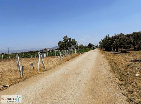 Torbalı Otabanın Dibinde İçinde Elektirik Suyu Olan Fırsat Tarla