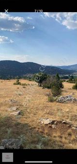 Seydikemer Bekçilerde 5128 M2 İmarlı Elektrik Su Ve Yolu Var