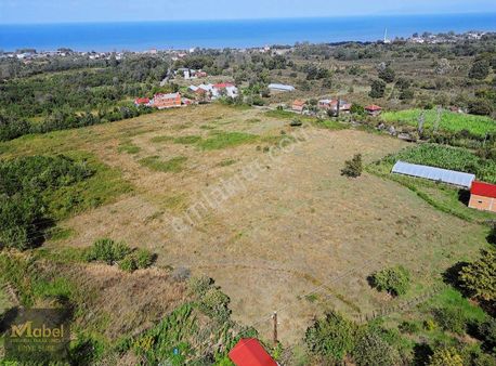 Mabel'den-güzelyalı'da Asfalta 1 Km Mesafede- Fırsat Arsa..
