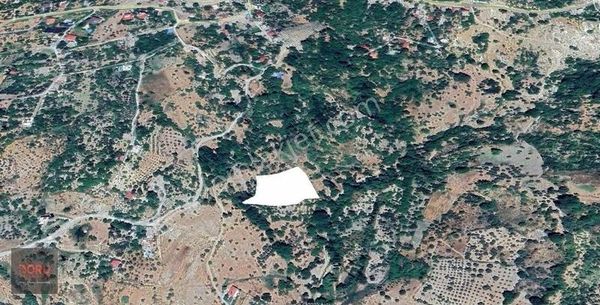 Doru'dan Ulutaş Köyiçi Mevkiinde Tek Tapulu Satılık Bahçe