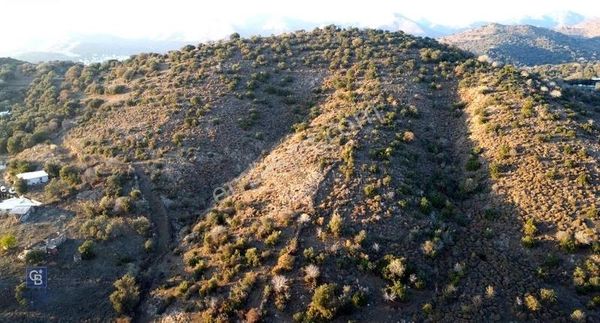 Bodrum İslamhaneleri-gürece 624 M2 Fırsat Arsa