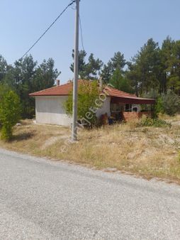 Asfalta Sıfır Konumda