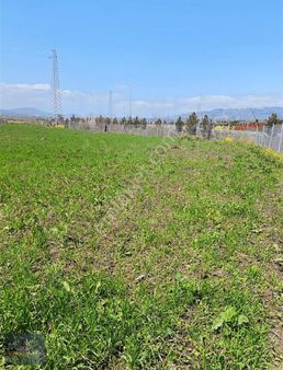 Ercanlar Emlaktan Satılık 12.5 Dönum Elma Bahçesi