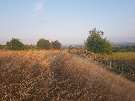 Kazdağları Kurtlar Satılık Tarla